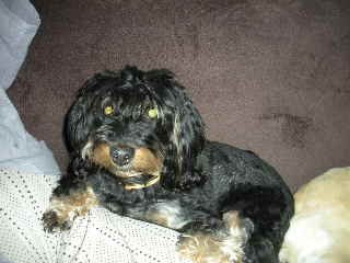 jsem mal� a neu�esan�